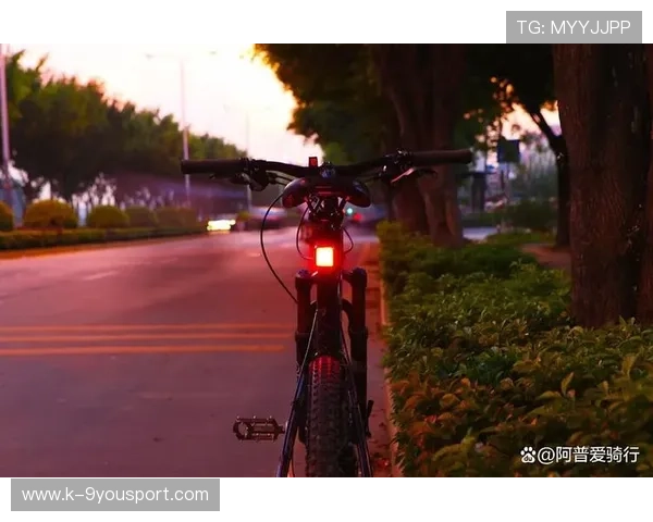 自行车赛事推出夜间灯光骑行赛吸引年轻参与者，夜骑自行车灯多少流明的好